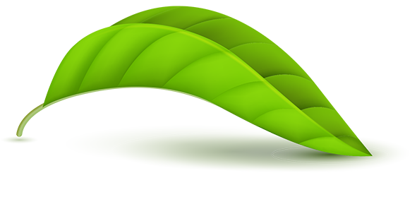 EN-About-leaf